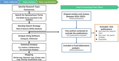 Research trends and hotspots on osteoporosis: a decade-long bibliometric and visualization analysis from 2014 to 2023